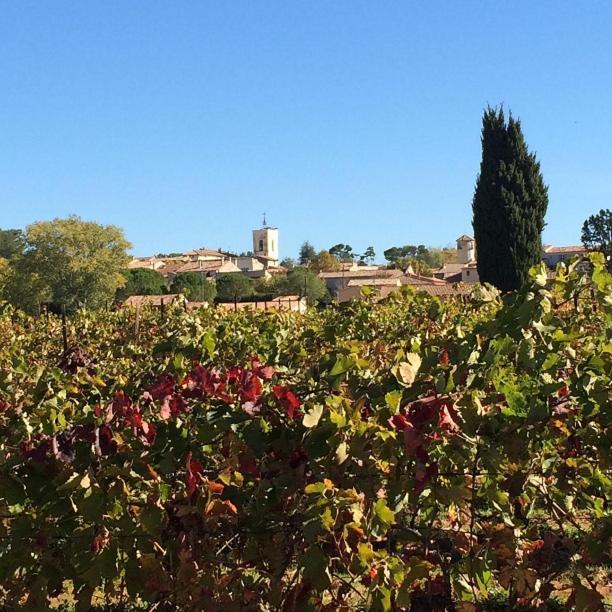 La Reyniere Du Sud Luberon